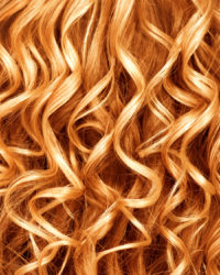 Curly ginger hair closeup. Permed red hair background